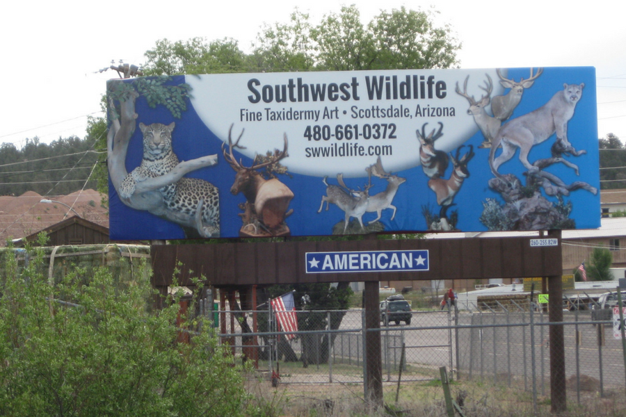 Southwest Wildlife Static Bulletin